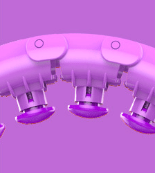 Lazy thin waist weight loss circle (option: Purple-24 knots)